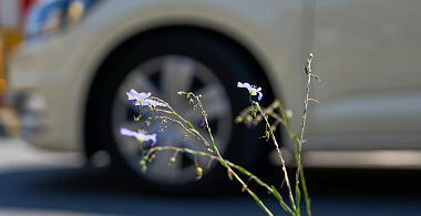 Летние шины: во что переобуться после самоизоляции  