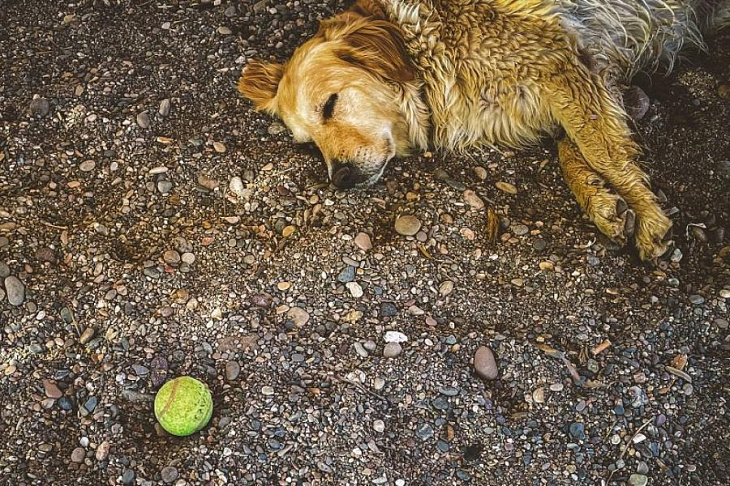 Диетолог назвала продукт для крепкого и здорового сна