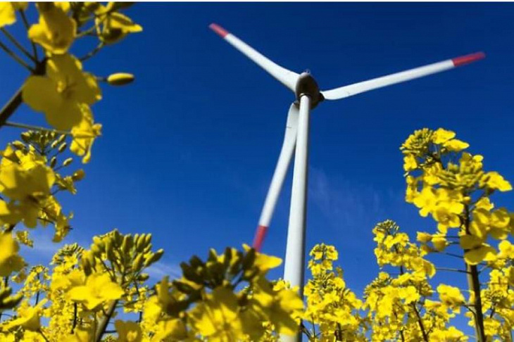 Зеленая энергетика не режется на глаз