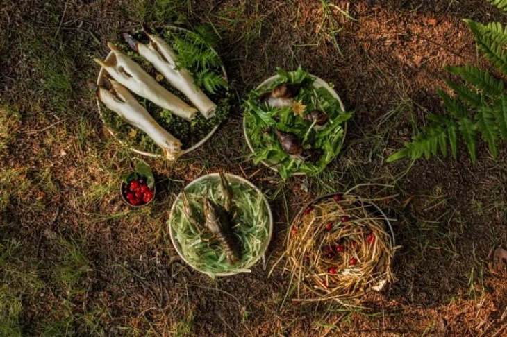 Delivery Club и WWF России запустили «Дикую доставку»