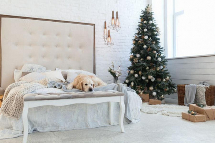 В ЦИАН назвали мегаполисы с самой дорогой новогодней арендой жилья 