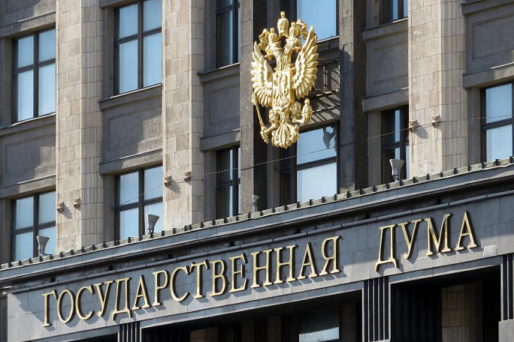 В Государственную Думу внесли законопроект, разрешающий ввозить дефицитные санкционные товары в РФ