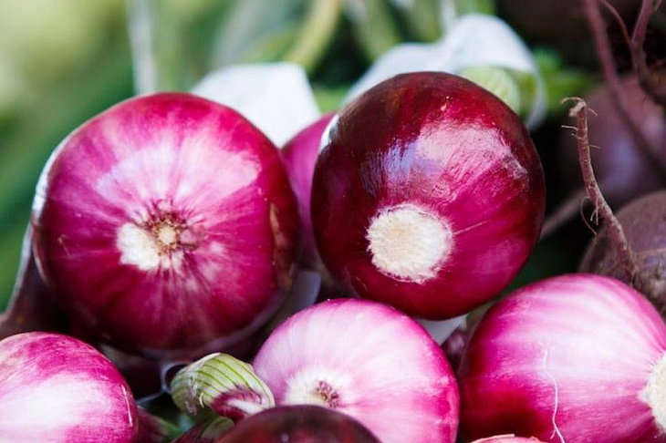Красный лук стал причиной вспышки сальмонеллеза в США