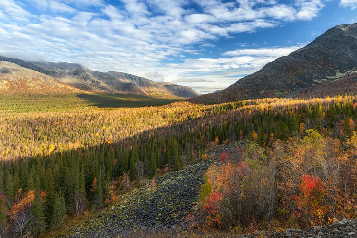 На ПМЭФ-2021 разыграют первый гектар в Мурманской области