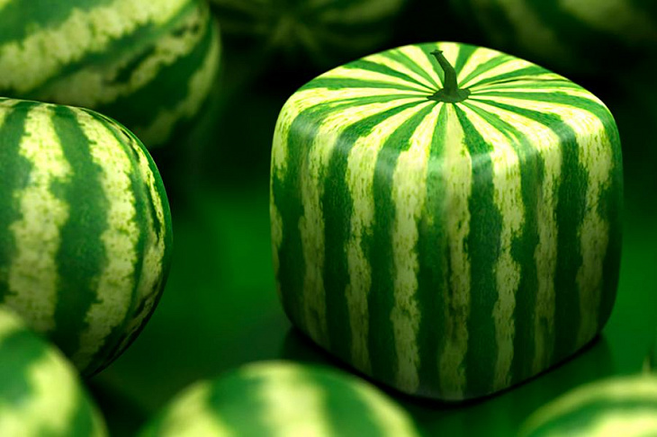 Россияне с недоверием относятся к генетическим модификациям