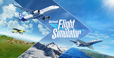 Microsoft Flight Simulator