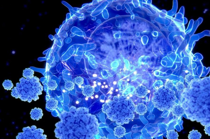 Ученые выявили удивительную особенность иммунитета