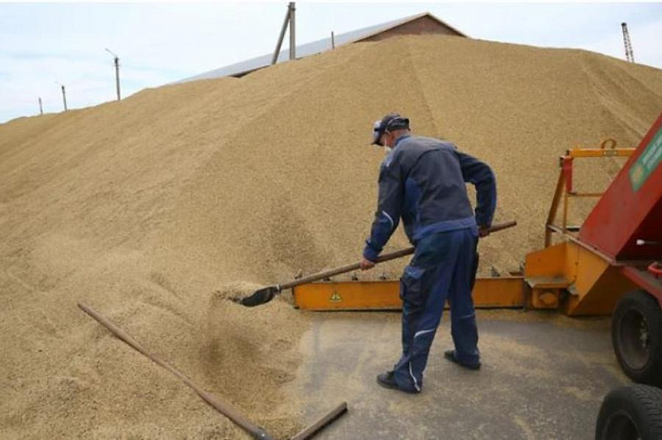 Терминалы пересыпают пшеницу