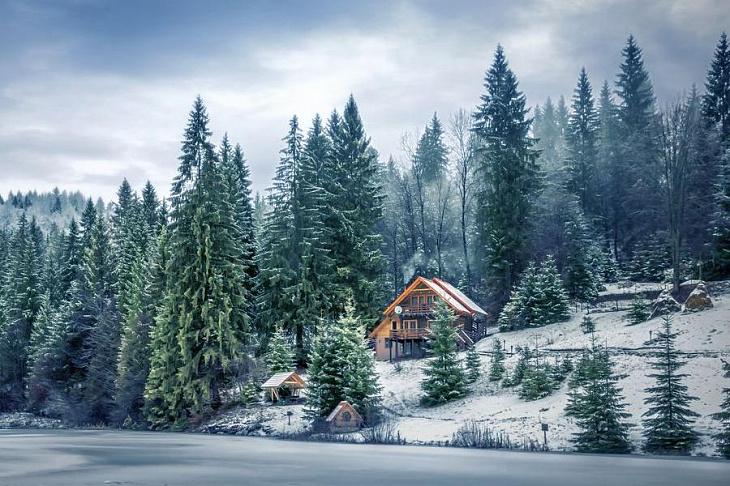 Дача на опушке: как построить дом в лесу