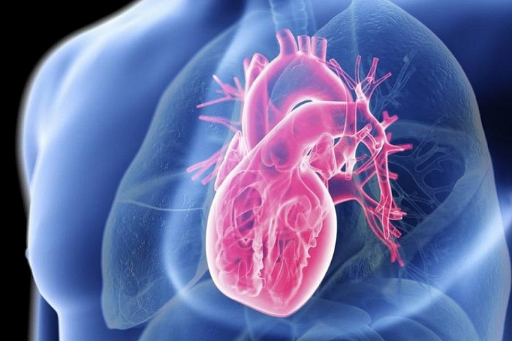 Кардиологи поняли, как избежать развития сердечной недостаточности