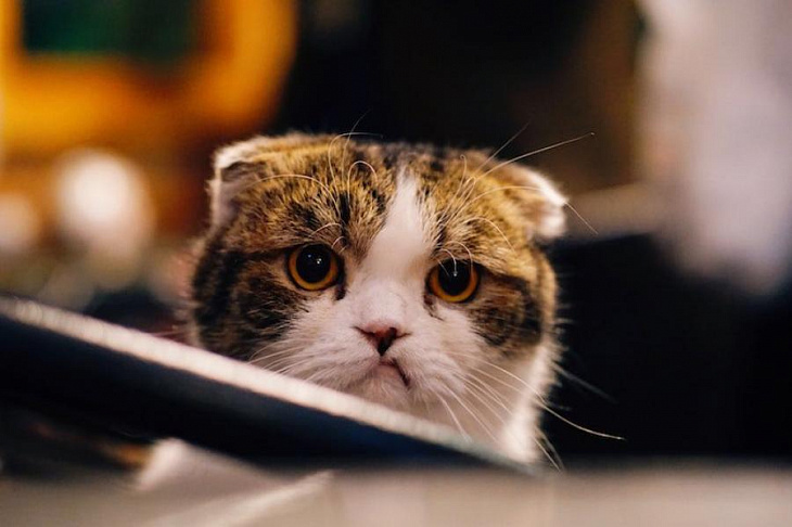 Раздражение от чужой суеты встречается чаще, чем думали