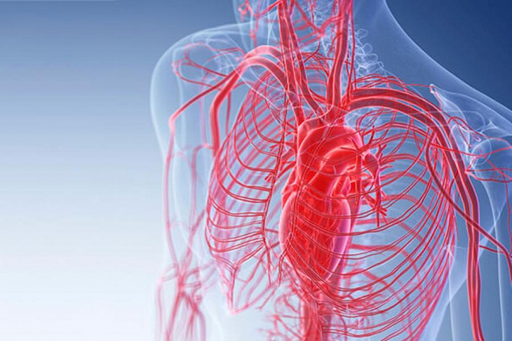 Уникальная нейросеть поможет в диагностике сосудистых аномалий