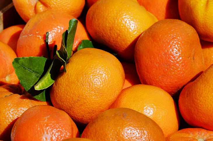 Роспотребнадзор запретил ввозить в Россию турецкие мандарины