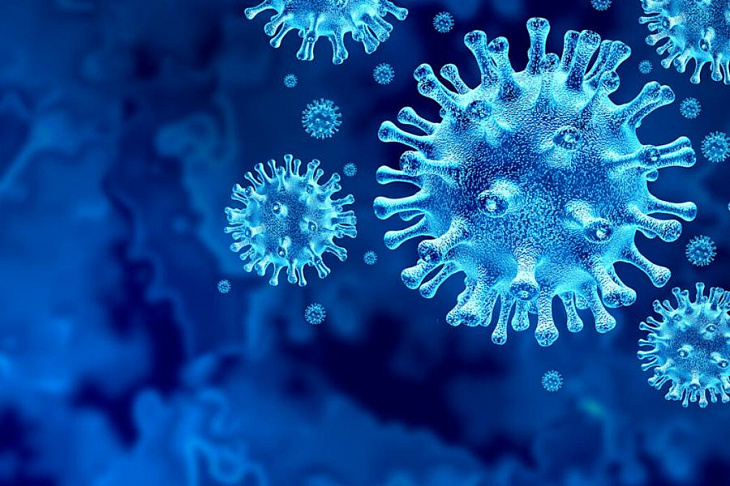 Открытие: коронавирус живет на коже человека дольше, чем предполагалось