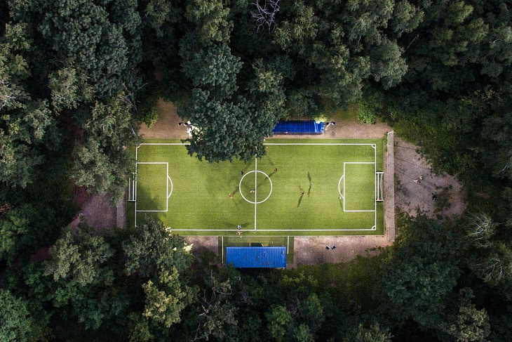 В лесах разрешат строить гаражи и стадионы