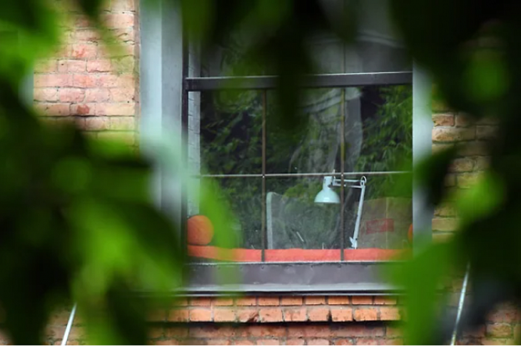 Улицы охватила безодежность