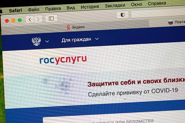 Эксперт назвал отличия официального портала госуслуг от мошеннического