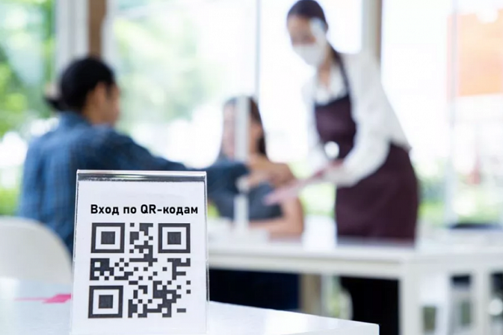 Законы о QR-кодах в России могут принять до 1 февраля 2022 года
