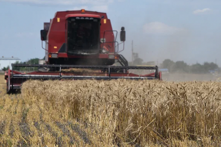 Холдинги собирают землю