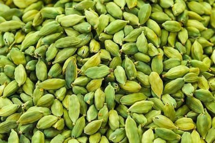 В кардамоне ученые увидели спасение от стойких бактериальных инфекций