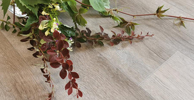 Как отличить хороший ламинат от плохого: полезные советы по выбору