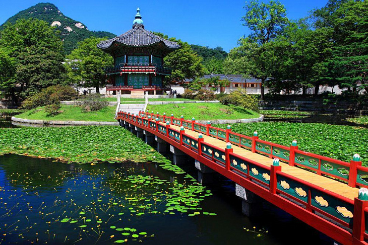 Карантин в раю. Как живется в изоляции из-за коронавируса на Мальдивах 