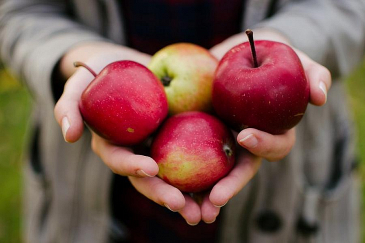 Перечислены семь продуктов для улучшения сна осенью