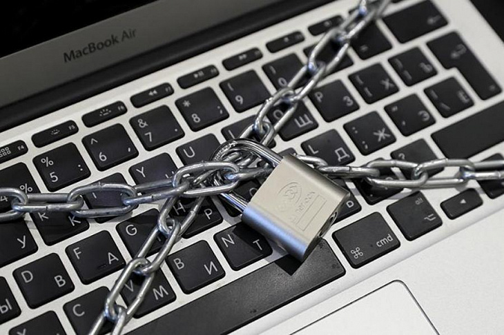 В РФ предложили ввести уголовную ответственность за треш-стримы в Сети