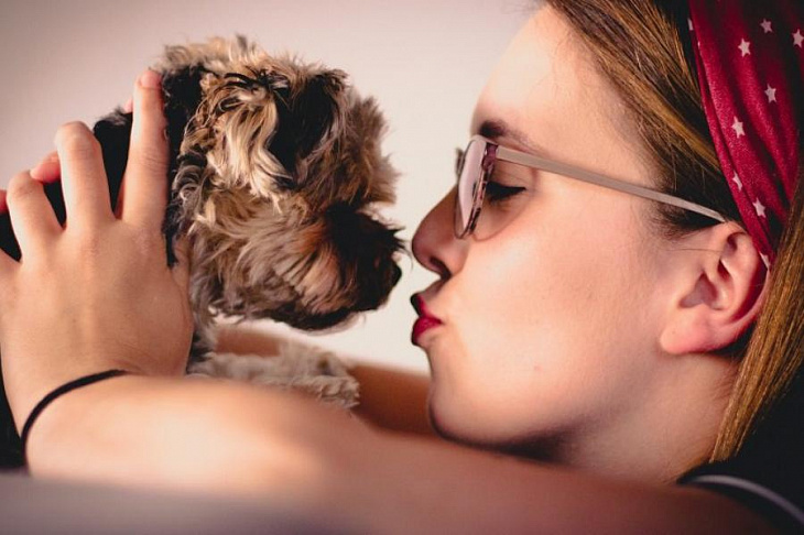 Вредно ли целоваться со своей собакой?