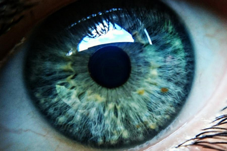 Низкоуглеводная диета защищает от слепоты