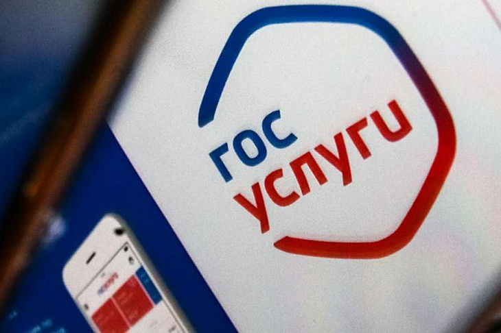 Власти пообещали перевести все значимые госуслуги в онлайн к 2023 году