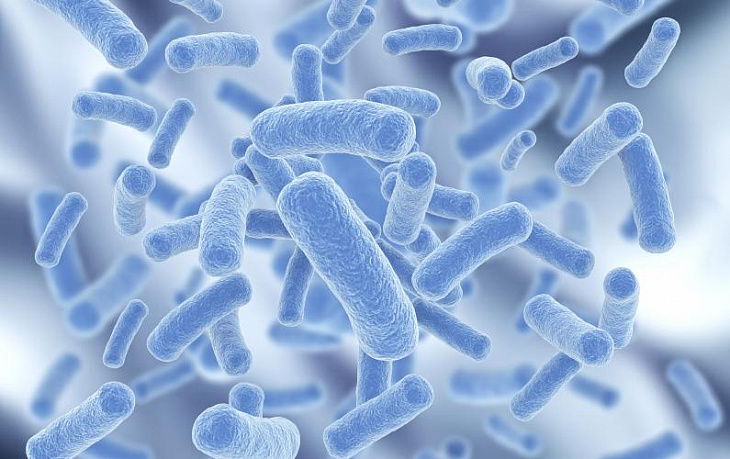 Микрофлора кишечника поможет в диагностике заболеваний