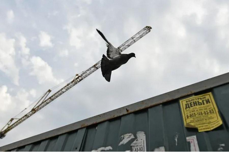 Железные дороги ведут на квартиру