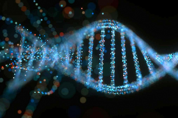 Стартовало масштабное исследование генома животных и людей