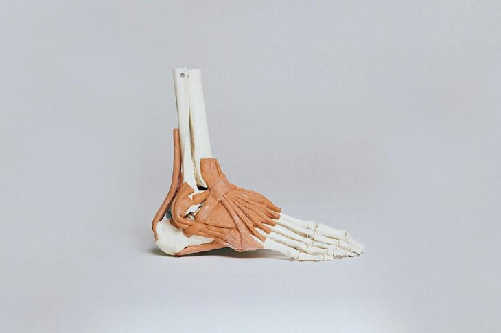 Создано эффективное средство для лечения сухожилий