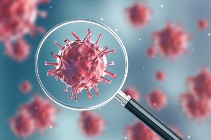 Исследователи поняли, почему новый коронавирус так легко инфицирует тело человека